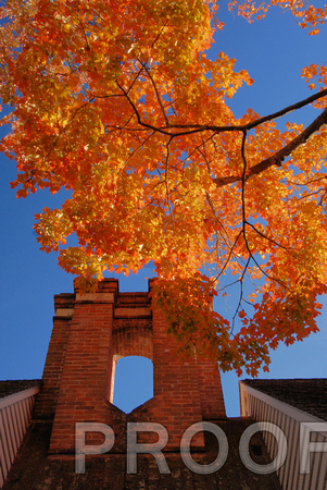 Colorful Fall in Williamsburg, VA