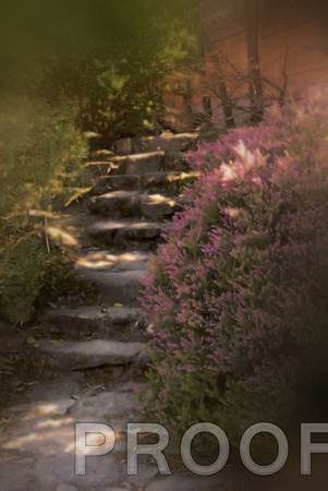 Stairway Garden