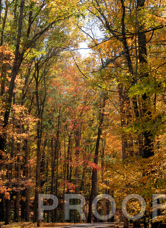 A walk along the Blue Ridge in the fall