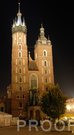 A night view of the basilica