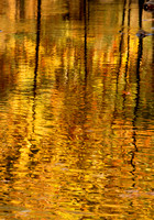 Reflections at Douthat State Park, VA