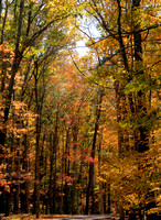 A walk along the Blue Ridge in the fall