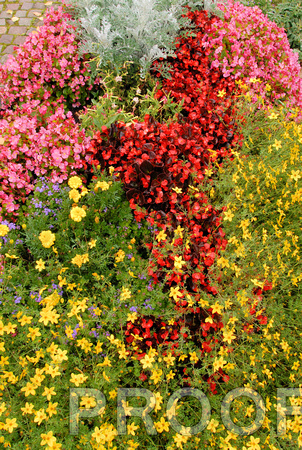 Street view of Flowers at Oberammergau